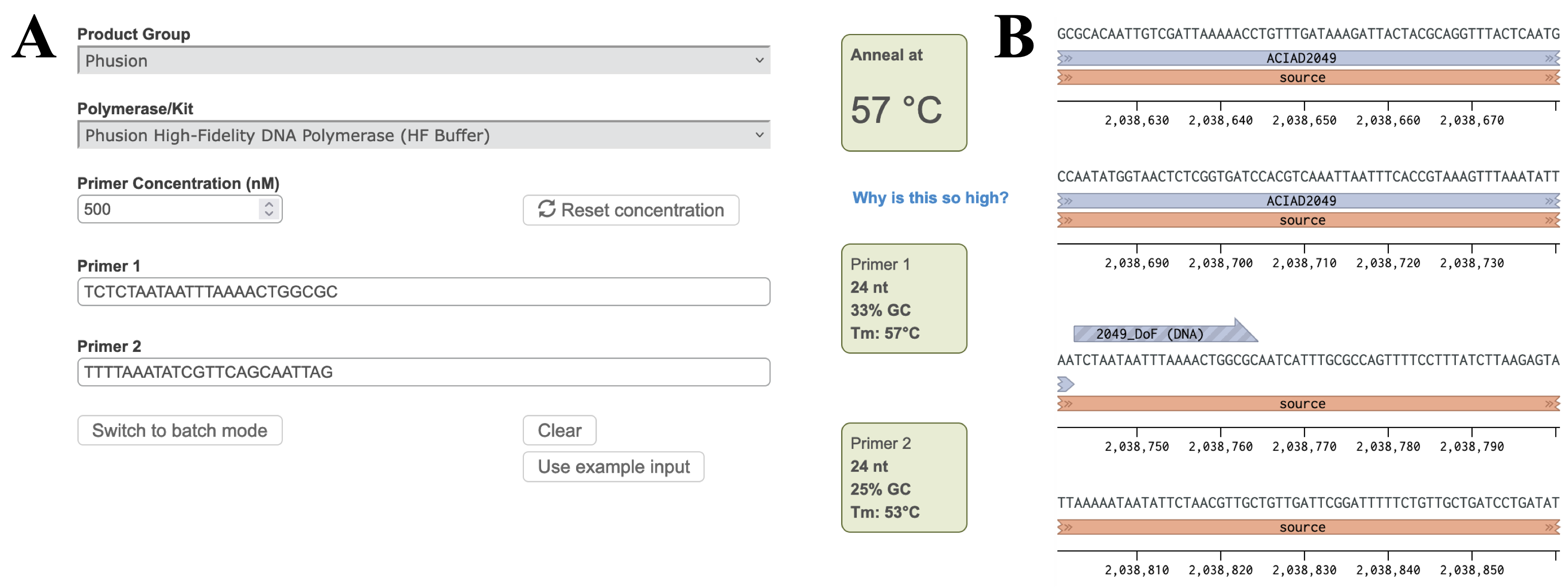 How To Find Primer Annealing Temperature at Samantha Brabyn blog