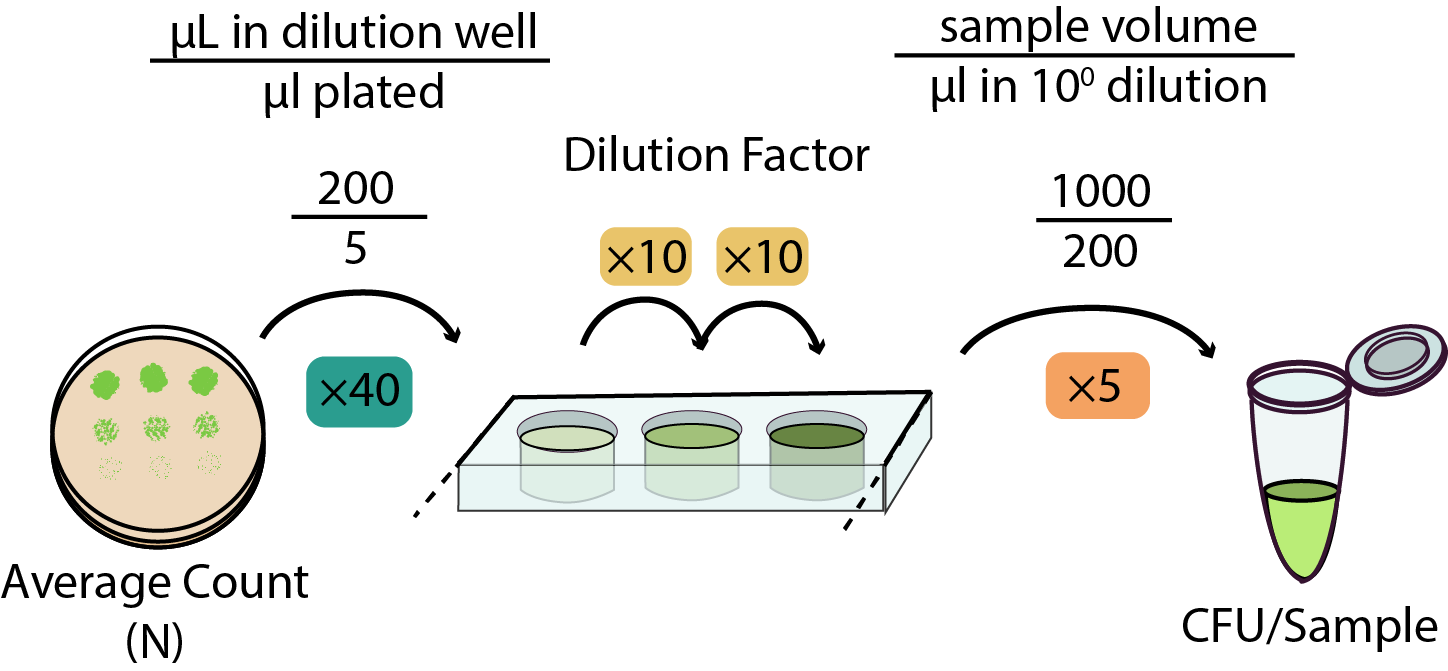 spot_plating_dilution_figure.png