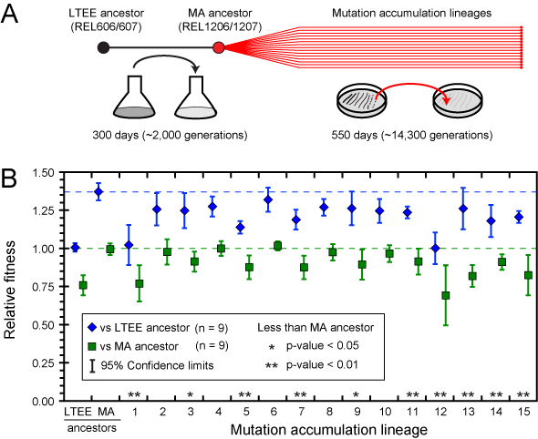 Barrick Lab Protocolsgraphguide