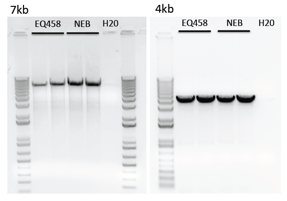 7kb_4kb.pdf