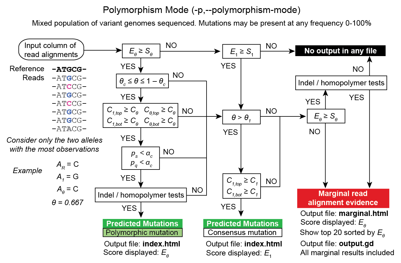 _images/polymorphism_mode_RA_flowchart.png
